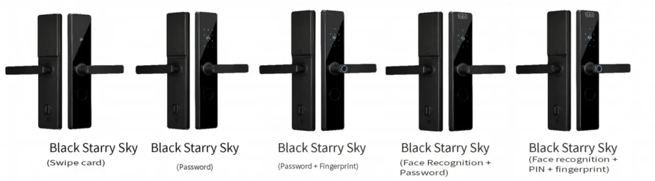 Multipoint Smart Lock with Face Recognition and 4G, Black Starry Sky: finishes and versions