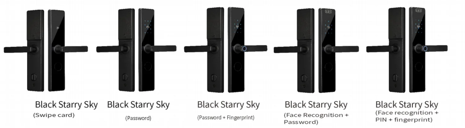 Multipoint Smart Lock with Face Recognition and 4G, Black Starry Sky: finishes and versions